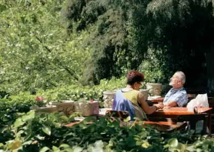 Reconnect with Nature: Outdoor-Inspired Features for Your Perfect Stay